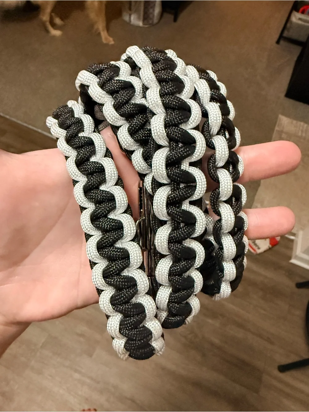 Paracord Leash